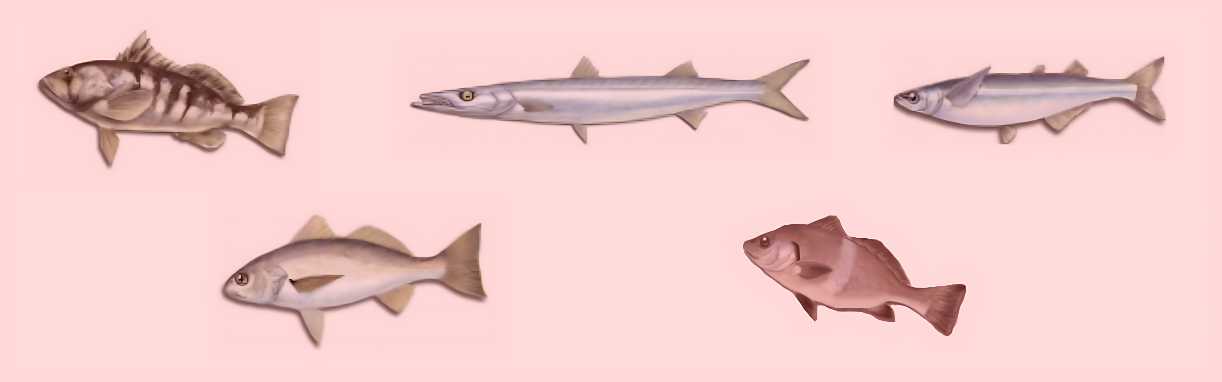 Graphic of which fish are not safe to eat